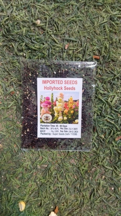 Imported Hollyhock Seeds	(Pack of 2)